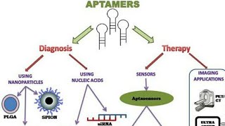 AIIMSampNEET BIOLOGY ampCSIRNET LIFESCIENCES w BIOTECHNOLOGYAPTAMERS [upl. by Anauqahc]