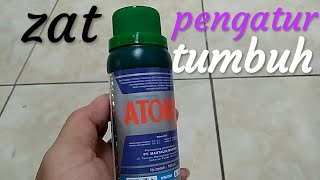 Review ZPT ATONIK [upl. by Eladnyl]