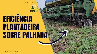 Eficiência da Plantadeira Sobre Palhada Como Ela Funciona [upl. by Nason]