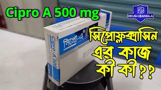 Cipro A 500 tablet  ciprocin 500 কি কাজ করে  ciprofloxacin 500mg  drug in bangla [upl. by Lavena]