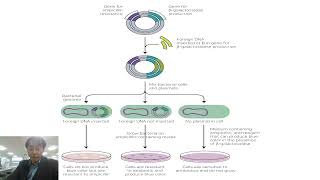 박테리아 형질전환 [upl. by Delmar534]