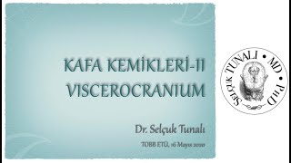 Kafa Kemikleri • Viscerocranium [upl. by Ailaht]