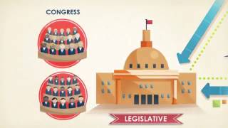 FLVS Civics Foundations  Checks and Balances [upl. by Nan]