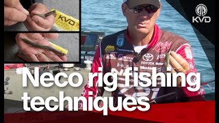 How to set up and fish the Neko Rig  bass fishing options you have  with KVD [upl. by Enneyehs]