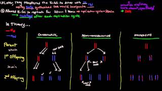 Mitosis and Meiosis Before the Bell Biology [upl. by Alfie812]