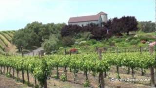 Fun Things to Do in Napa Valley [upl. by Zzaj]