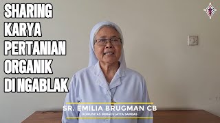 Bertani Organik di Ngablak bersama Sr Emilia Brugman CB [upl. by Ecire]