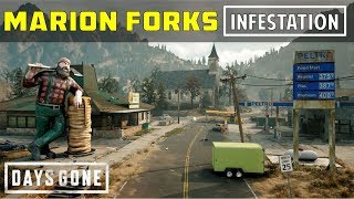 Marion Forks Infestation  Location of All Nests  Days Gone [upl. by Ahsinut]