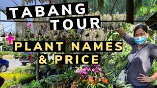 TABANG GARDEN PLANT TOUR 😍 with Plant Names amp Price Range  Guiguinto Bulacan Philippines [upl. by Lian]