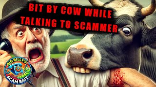 Bit By A Cow While Talking To Medical Device Scammer [upl. by Domph]