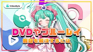 VideoByte  DVDとブルーレイに関する作業を支える専門家 [upl. by Atteuqehs536]