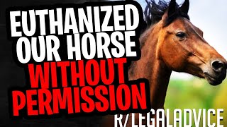 rLegalAdvice Euthanized Our Horse WITHOUT PERMISSION [upl. by Korry]