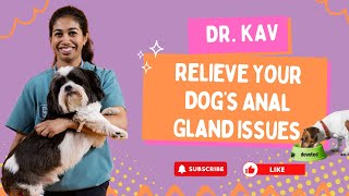 Relieve Your Dog’s Anal Gland Issues Dr Kav Recommends Devoted Duck amp Salmon Food [upl. by Arima]