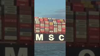 MSc biggest ship company [upl. by Romola]