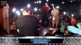 Cosculluela ft Arcangel Live  La Calma 2015 2 [upl. by Foy]