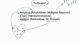 Pathophysiologie Restriktive Kardiomyopathien [upl. by Gayelord319]