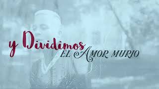 Nio Garcia  Dividimos Bachata Version Lyric Video [upl. by Soirtemed]