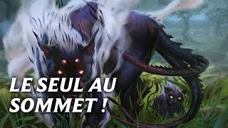 AuDessus de la Mêlée  Gameplay  Boros CHAT  Historic MTG  A FR [upl. by Nickolas]