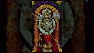 Murugan songs  God Songs  Devotional Song  kanda guru kavacham  Shasti viratham  skanda guru [upl. by Ardis549]