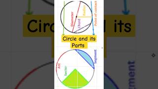 Circle  Radius Diameter chordsectorarcsegmentshortsviralcircletrending class6thmaths [upl. by Chiaki628]