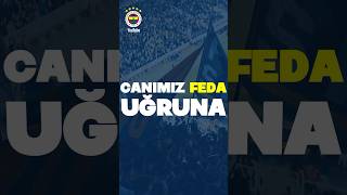 DÜŞTÜK YİNE YOLLARINA 🚌 fenerinmaçıvar [upl. by Ybeloc]