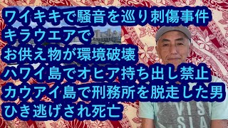 ハワイニュース 03302024：ワイキキで騒音を巡り刺傷事件、キラウエアでお供え物が環境破壊、ハワイ島でオヒア持ち出し禁止、カウアイ島で刑務所を脱走した男がひき逃げされ死亡 [upl. by Gibbie]