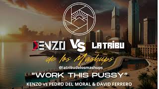 Kenzo vs La Tribu de los Mashups  Work This P Mad 8 Remix [upl. by Penni578]