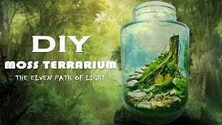 DIY Moss Terrarium  The Elven Path of Light  Terrascaping [upl. by Naej]