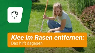 Klee im Rasen entfernen Das hilft dagegen [upl. by Lladnew346]