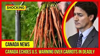 SHOCKING Canada echoes U S warning over carrots in deadly Latest Canada News At CTV News [upl. by Camel868]