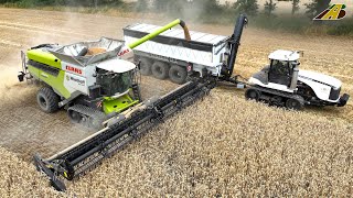 Getreideernte 2023 Triticale dreschen Mähdrescher CLAAS Traktor Raupe Lohnunternehmer Landwirtschaft [upl. by Ennairol]