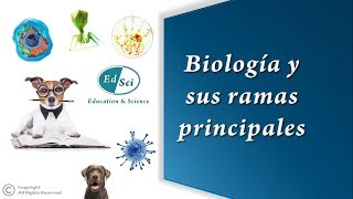 🆕🔝✳️ La Biología y sus ramas principales 🧫🦠🧬🌎☘️🐳🦀🐼 [upl. by Rases]