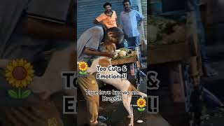 Dogs GIVES Man a HUG LOVE ❤️ funnypets emotional heartwarming cuteanimals viralshorts animal [upl. by Lirpa]