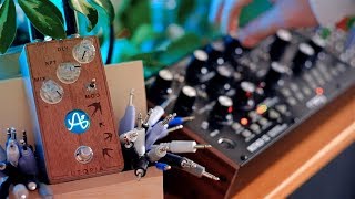 Anasounds Utopia amp Moog Mother32 [upl. by Semaj]