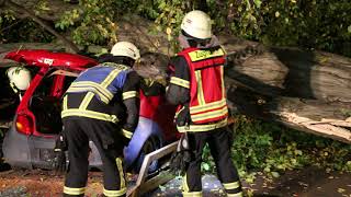 Feuerwehr Halberstadt  Baum auf Pkw  eingeklemmte Person Ü [upl. by Jewel]