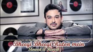 Bheegi Bheegi Raton Mein  Adnan Sami  Slowed amp Reverb  LoveFi Music [upl. by Possing]