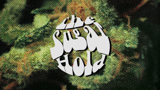 The Sugar Hold featuring Hold on Honeys  Cheeseburger  Jive Hive Live [upl. by Airotel633]