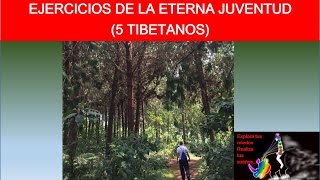 EJERCICIOS DE LA ETERNA JUVENTUD 5 Tibetanos [upl. by Chlo]