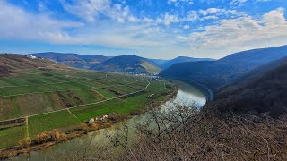 Camping an der Mosel Stellplatz 10 Euro und Wanderung mit fanatischer Aussicht 🐕 vanlife camping [upl. by Gabrielle]