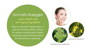 Promote Skin Health and Function with DermalRx® Acetygen® [upl. by Yelrebmik320]