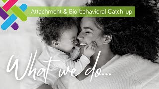 Infant Mental Health Service Attachment and Biobehavioral Catchup [upl. by Granese]