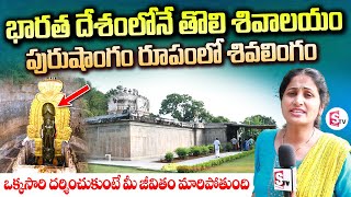 భారతదేశపు తొలి శివాలయం  Indias First Shivalayam  Famous Temples in India  Telugu Vlogs [upl. by Aser]