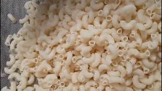 Indias no 1 best quality pasta machine manufacturers Growmax international 9938956007 [upl. by Yellek]