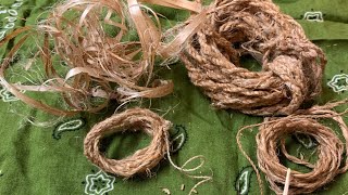 Dogbane Cordage harvest process how to make cordage [upl. by Chandless]