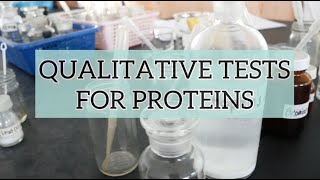 Qualitative Tests for Proteins [upl. by Thebazile]