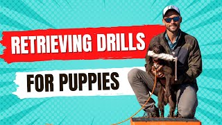 Improve Your Puppy’s Retrieving  Next Step Training Outside [upl. by Muller]