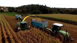 ETA POILVET I CLAAS XÉRION 3800 I Ensilage de maïs 2017 [upl. by Tiffanie]