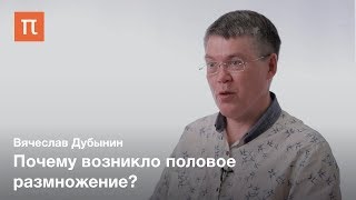 Размножение с точки зрения женского мозга — Вячеслав Дубынин [upl. by Haddad]