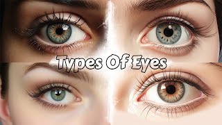 Types Of Eyes typesof eyes [upl. by Brott]