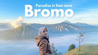 Bromo Trip Vlog ⛰️ Paradise in East Java Indonesia  Solo trip [upl. by Map]